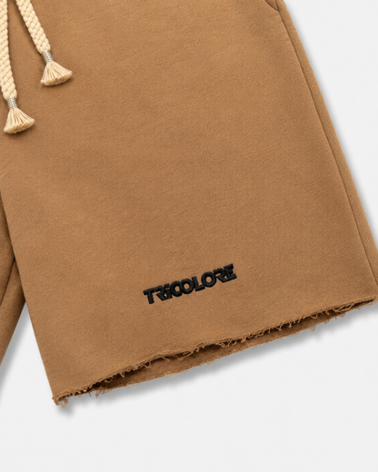 Tricolore Casual Shorts