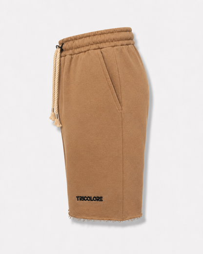 Tricolore Casual Shorts