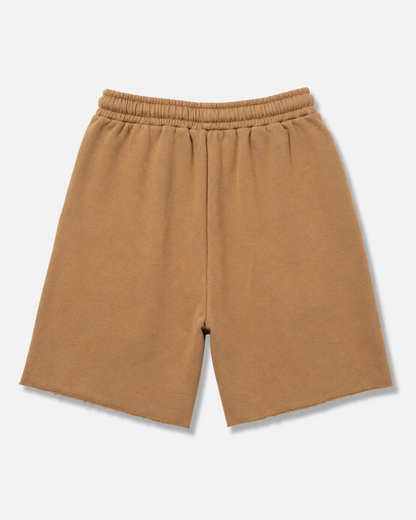 Tricolore Casual Shorts